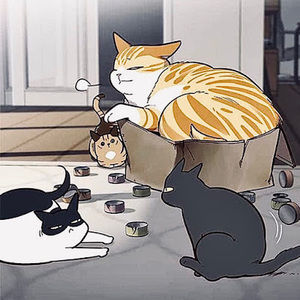 Meet your Posher, Bingbing